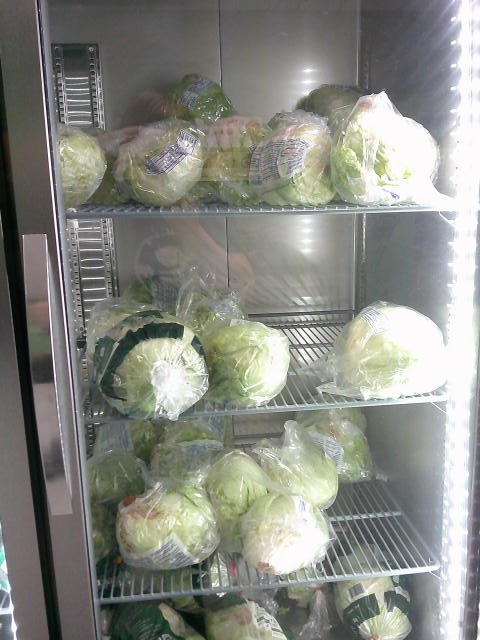 Alot of lettuce on shelves of a fridge.